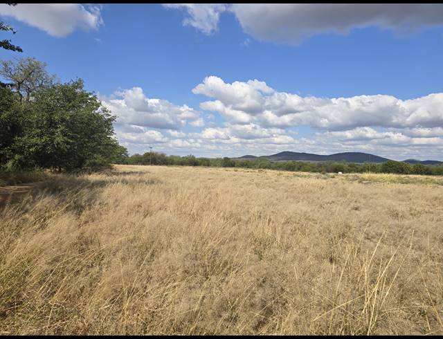 93HA FARM FOR SALE IN MOPANE